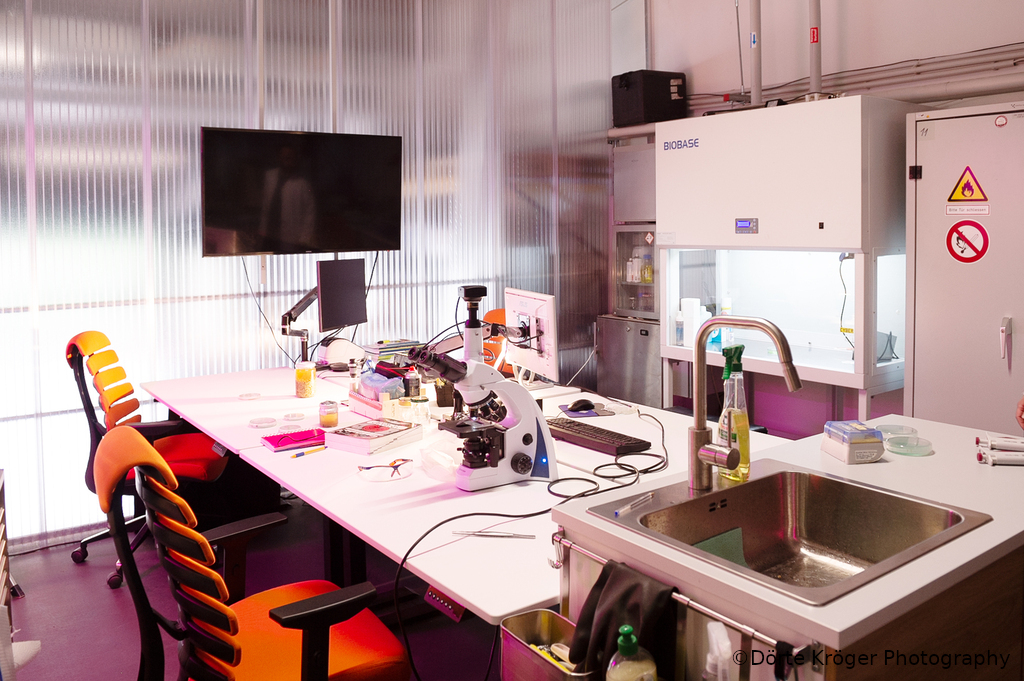© Dörte Kröger Photography Labor der Curious Community Labs