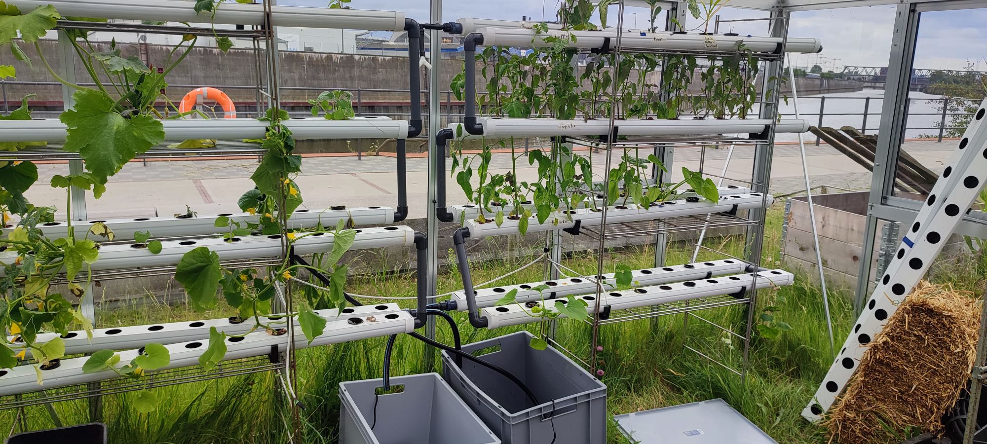 © Curious Community Labs e. V. Glashaus der Curious Community Labs